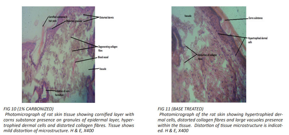 fig10,11