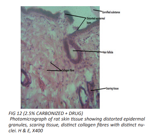 fig12