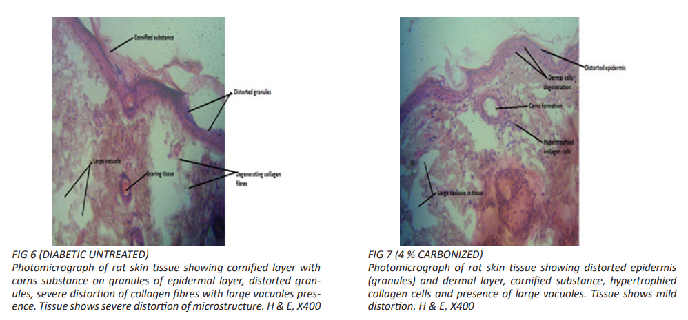 fig6,7