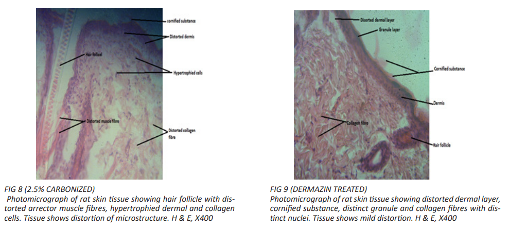 fig8,9
